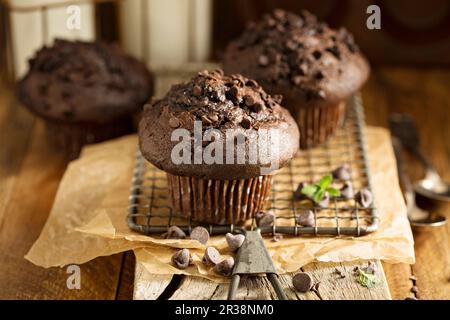 Muffins Double chocolat Banque D'Images