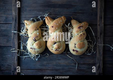 Petits pains de levure végétaliens doux en forme de petits pains avec des niches de sucre Banque D'Images