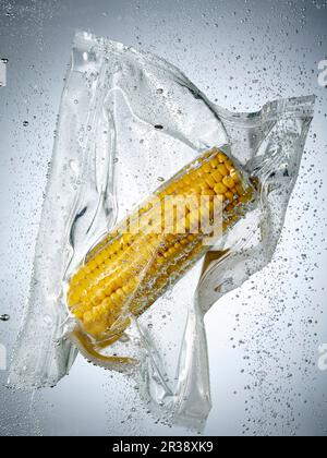 Un épis de maïs dans un sac sous vide Banque D'Images