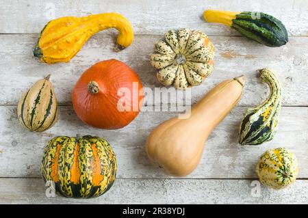 Divers gourdes et citrouilles sur fond de bois rustique Banque D'Images