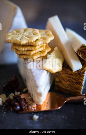 Craquelins et divers types de fromage Banque D'Images