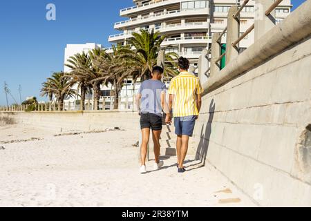 Vue arrière d'un couple de sexe masculin gay biracial tenant les mains et marchant sur une plage ensoleillée Banque D'Images