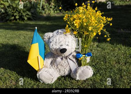 Ours en peluche avec drapeau ukrainien, bouquet de fleurs de buttercup jaunes sur l'herbe. Les enfants contre la guerre. Concept de paix pour Ukrain. Foi en UKR Banque D'Images