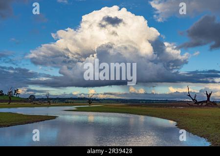 Vue aérienne sur une rivière avec un gros nuage de tempête au-dessus du réservoir de Cairn Curran dans le centre de Victoria, en Australie. Banque D'Images