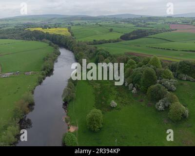 La rivière eden près du village d'Armathwaite à cumbria Banque D'Images