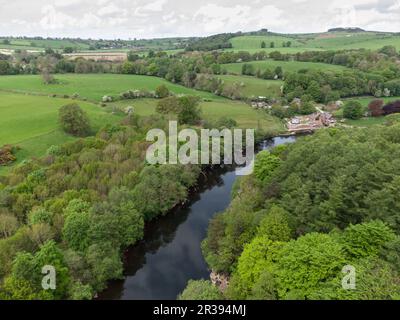 La rivière eden près du village d'Armathwaite à cumbria Banque D'Images