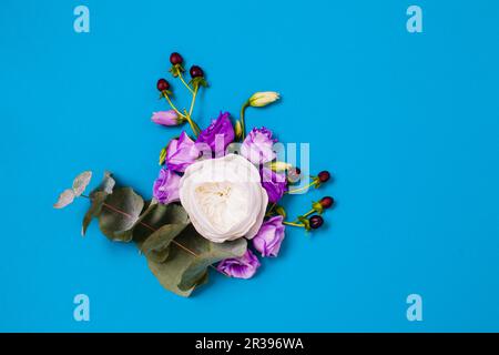 Pose plate de rose blanche et d'eustoma violet avec espace de copie sur bleu Banque D'Images