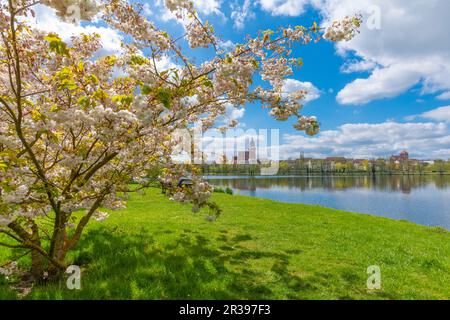 Vue sur la ville de Schaugarten, ville de campagne Waren, Mueritz, Mecklemburgische Seenplatte, Mecklenburg-Ouest Pomerania, Allemagne de l'est, Europe Banque D'Images