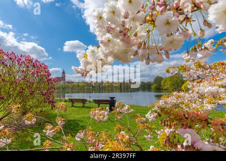 Vue sur la ville de Schaugarten, ville de campagne Waren, Mueritz, Mecklemburgische Seenplatte, Mecklenburg-Ouest Pomerania, Allemagne de l'est, Europe Banque D'Images