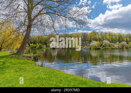 Vue sur la ville de Schaugarten, ville de Waren, Mueritz, Mecklembourg-Poméranie occidentale, Allemagne de l'est, Europe Banque D'Images