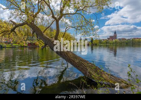 Vue sur la ville de Schaugarten, ville de Waren, Mueritz, Mecklembourg-Poméranie occidentale, Allemagne de l'est, Europe Banque D'Images