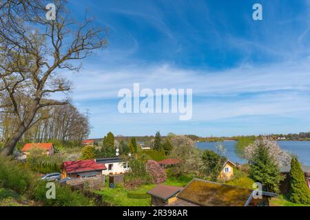 Terrain de jardin au bord du lac Tiefwarensee, ville Waren, Mueritz, Mecklemburgische Seenplatte, Mecklenburg-Poméranie occidentale, Allemagne de l'est Europe centrale Banque D'Images