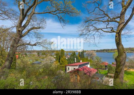Terrain de jardin au bord du lac Tiefwarensee, ville Waren, Mueritz, Mecklemburgische Seenplatte, Mecklenburg-Poméranie occidentale, Allemagne de l'est Europe centrale Banque D'Images