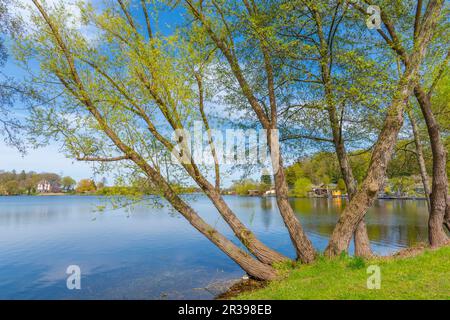 Terrain de jardin au bord du lac Tiefwarensee, ville de Waren, Mueritz, Mecklembourg-Poméranie occidentale, Allemagne de l'est, Europe Banque D'Images
