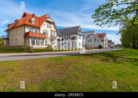 Villas à Stranstrasse, ville de Waren, Mueritz, Mecklembourg-Poméranie occidentale, Allemagne de l'est, Europe Banque D'Images