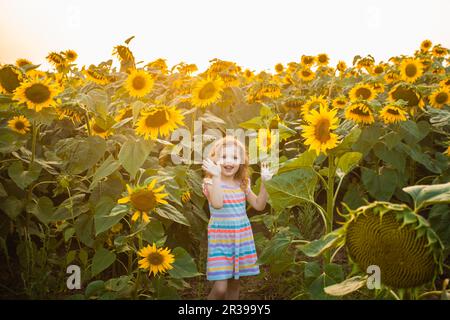 Heureux l'enfant fille qui marche dans les tournesols. Belle journée d'été Banque D'Images