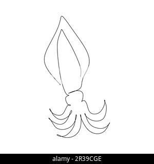 dessin de ligne continue de squid sur fond blanc, illustration vectorielle Illustration de Vecteur