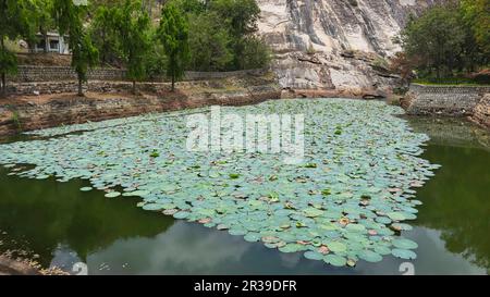 Vue sur le lac du fort de Chandragiri, Chandragiri, Tirupati, Andhra Pradesh, Inde. Banque D'Images