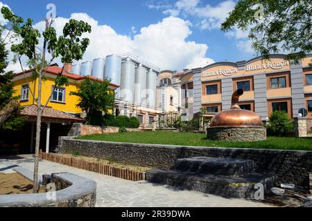 Brasserie Korca, Albanie Banque D'Images