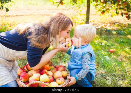 Mère et enfant mignon manger apple en jardin. Famille heureuse la cueillette des pommes dans une ferme Banque D'Images