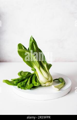 Pak choi Banque D'Images