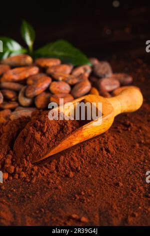 Ingrédients pour la préparation du chocolat. Gros plan sur les fèves de cacao et la poudre de cacao Banque D'Images