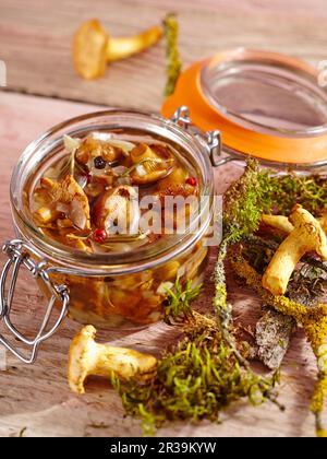 Chanterelle aux champignons cueillis dans le vinaigre avec de l'ail, des herbes et des épices Banque D'Images