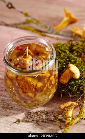 Chanterelle aux champignons cueillis dans le vinaigre avec de l'ail, des herbes et des épices Banque D'Images