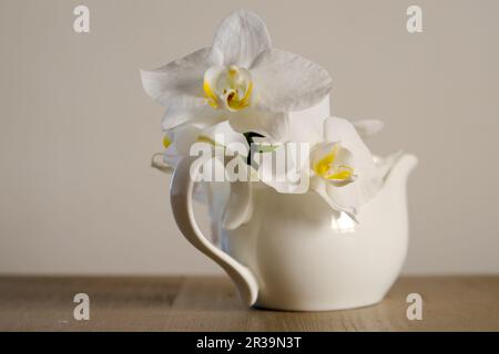 belle freesia blanche dans vase sur table Banque D'Images