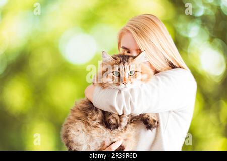 Bonne jeune femme embrassant et embrassant un chat sibérien Banque D'Images