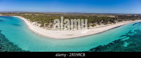 Plage es Carbo, plage de sable vierge sans personnes, Ses Salines, Majorque, Iles Baléares, Espagne. Banque D'Images