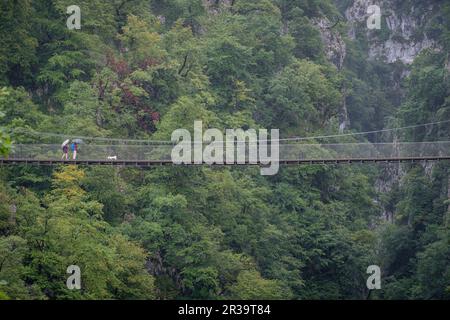 Senderistas con paraguas sobre la pasarela dHoltzarte, gargantas de Holzarté, Larrau, región de Aquitania, departamento de Pirineos Atlánticos, Francia. Banque D'Images