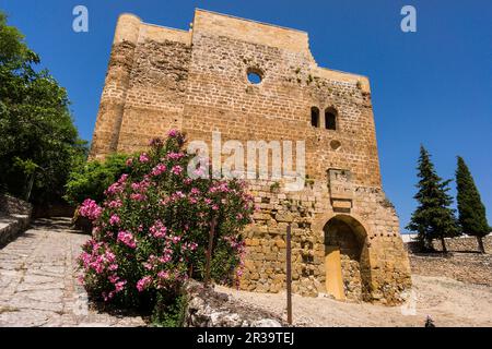 Iglesia renacentista de Santo Domingo, Castillo de La Iruela, Origène, almohade construido sobre cimientos pre-bereberes, La Iruela, Valle del Guadalquivir, Parque Natural sierras de Cazorla, Segura y Las Villas, Jaén, Andalousie, espagne. Banque D'Images