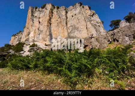 Ruta del rio Borosa, tuneles de la central electrica del salto de Los Organos, Parque Natural sierras de Cazorla, Segura y Las Villas, Jaén, Andalousie, espagne. Banque D'Images