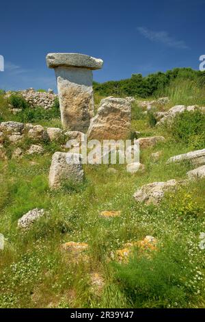 Taula de Sa Torreta (Torre Blanca).Parc naturel de s'Albufera des Grau.Menorca.Reserva de la Bioesfera.Illes Balears.España. Banque D'Images