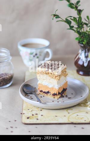 Mettre le gâteau en couche avec le dulce de leche, la meringue à la noix de coco et le glaçage au café Banque D'Images