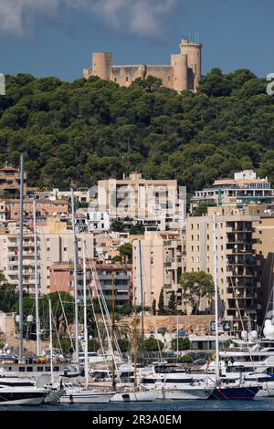 castillo de Bellver et puerto de Palma. Palma, Majorque, islas Baleares, Espagne. Banque D'Images