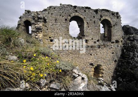 Castillo cataro de Ròca-Fixada(1034).Lavelanet.Pirineos orientales.Francia. Banque D'Images