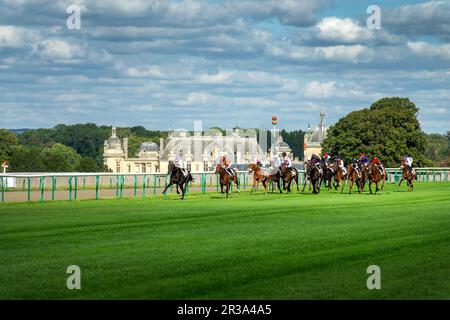 Course hippique près du château de Chantilly, France. Banque D'Images