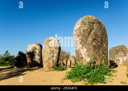 Dos Almendres Cromlech,neolitico antiguo -Alto das Pedras- Talhas, Nossa Senhora de Guadalupe,Valverde, Evora, Portugal, Alentejo, Europa. Banque D'Images