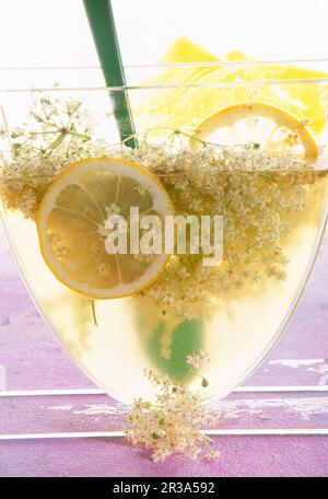 Sirop d'Elderflower avec fleurs fraîches et tranches de citron Banque D'Images