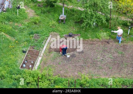Un couple adulte creuse son terrain dans le pays pour semer des pommes de terre Banque D'Images
