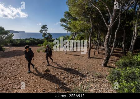 Na Miranda, parc naturel de sa Dragonera, Majorque, Iles Baléares, Espagne. Banque D'Images