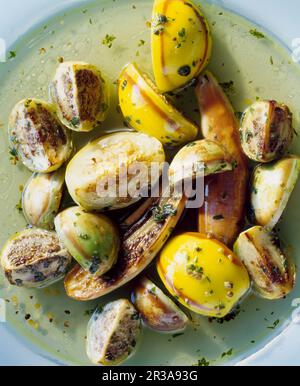 Mini aubergines thaïlandaises marinées dans du vinaigre avec de la menthe, de l'ail et de l'origan Banque D'Images