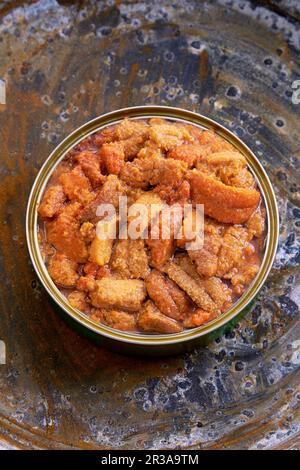 Oursin de mer dans une boîte Banque D'Images