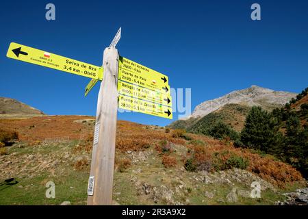 Vallée de hecho, vallées de l'ouest, du massif pyrénéen, province de Huesca, Aragon, Espagne, Europe. Banque D'Images