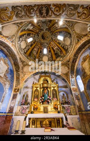 cúpula con los cuatro evangelistas rodeando la escena de la Coronación de la Virgen, iglesia del siglo XVI, santuario de origen romanico de Santa María de la Nuez , municipio de Bárcabo,Sobrarbe, Provincia de Huesca, Comunidad Autónoma de Aragón, Espagne, pirillos cordillera, espagne. Banque D'Images