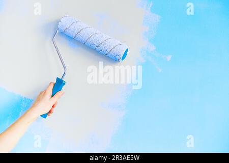 Mur de peinture à la main femelle avec rouleau de peinture. Gros plan du mur de peinture à la main du Décorateur avec rouleau. Banque D'Images