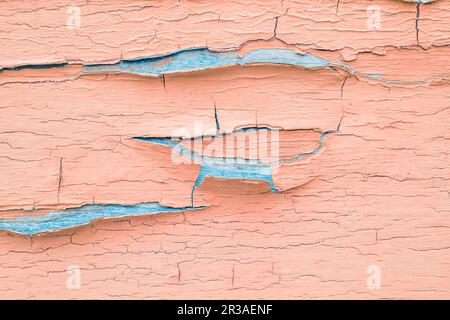 Craquage et écaillage de la peinture rose sur un mur. Arrière-plan en bois vintage avec peinture écaillée. Vieux carton avec Banque D'Images