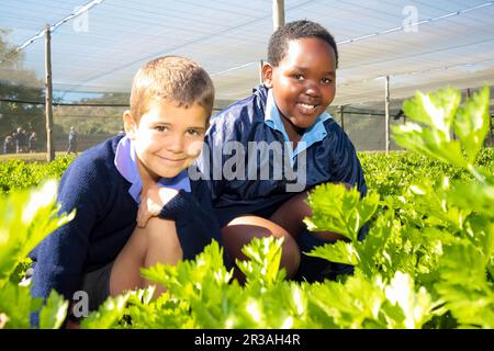 Les écoliers apprennent l'agriculture et l'agriculture Banque D'Images